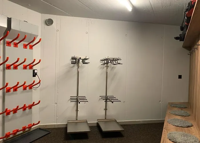 Angelina زيرمات